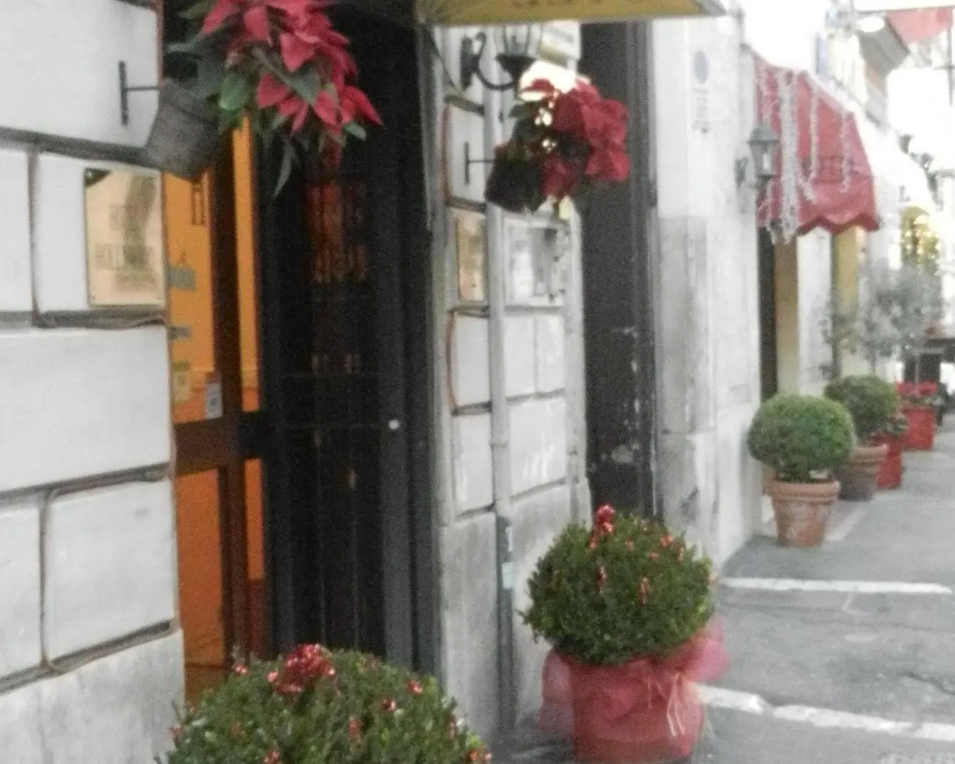 Hotel Hollywood Roma